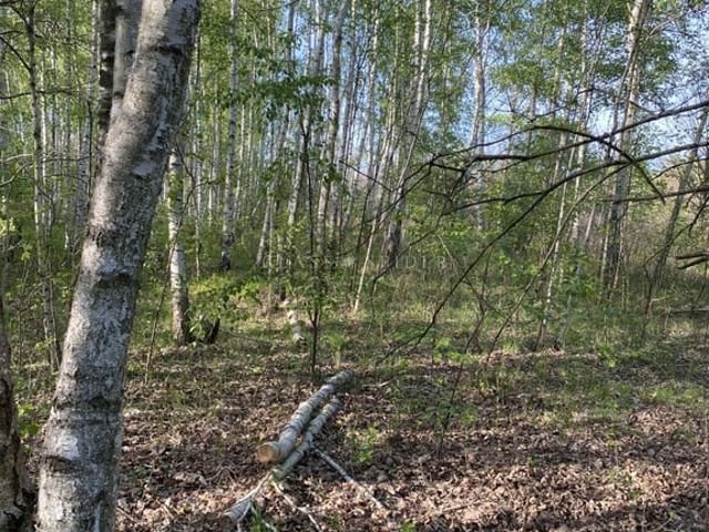 Działka na sprzedaż, Rososzańska