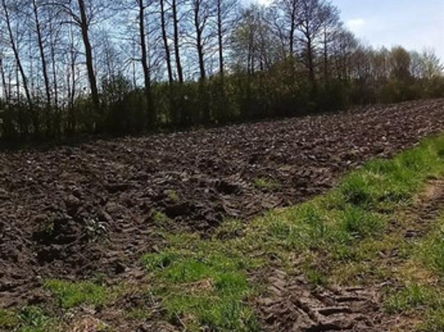 Działka na sprzedaż, Witosa