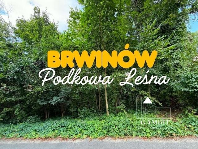 Działka na sprzedaż, Wiewiórek