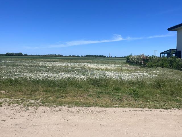 Działka na sprzedaż, Żurawia