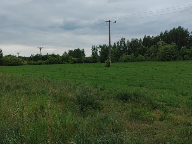 Działka na sprzedaż, Zgierska