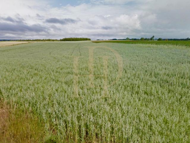 Działka na sprzedaż, Zielona