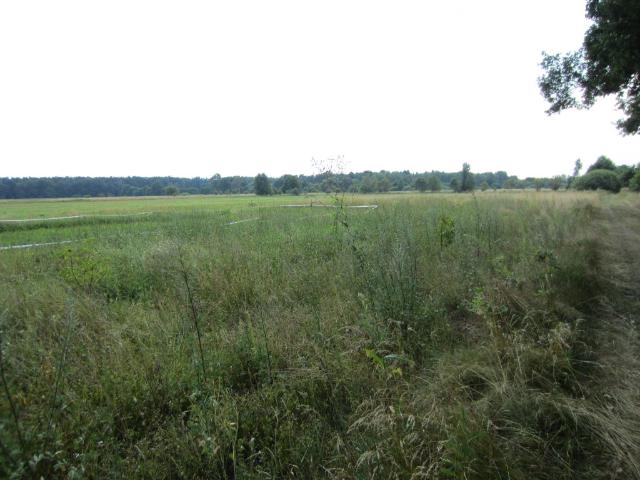 Działka na sprzedaż, Zielona Góra, Kiełpin, Kiełpin