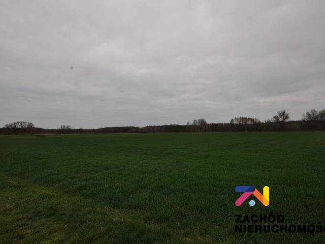 Działka na sprzedaż, Zielona Góra, Zawada