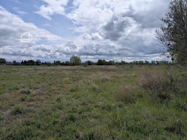 Działka na wynajem 10 000 m² z dostępem do mediów