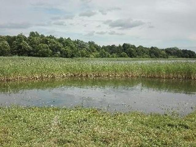 Działka nad czystym jeziorem Luterskim, 11 106 m2