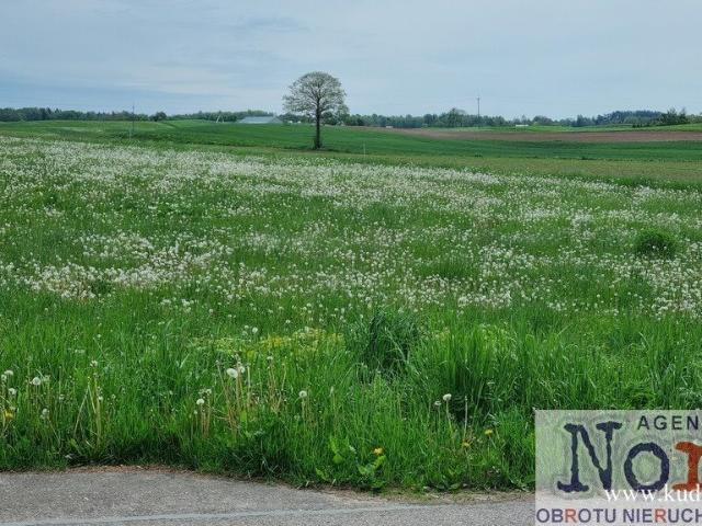 Działka nad jeziorem Dreństwo 1158 m², dojazd asfaltowy