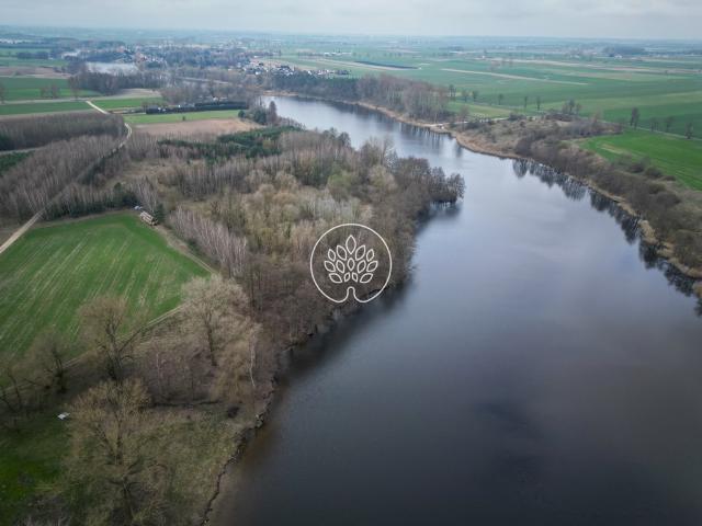 Działka nad jeziorem Łopienno 16 300 m² z 225 m linii brzegowej