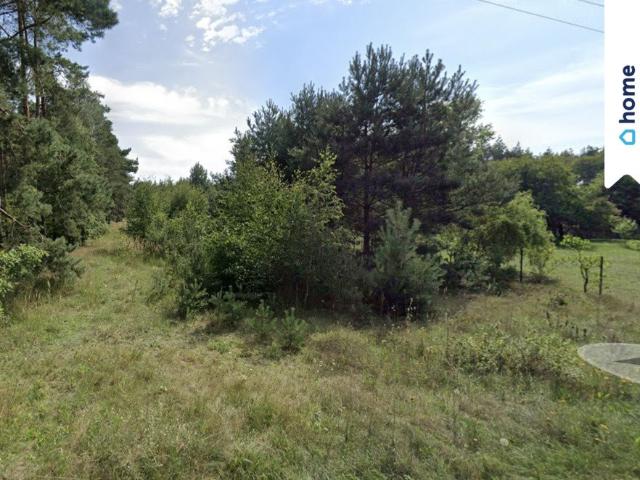 Działka nad Jeziorem Powidzkim 1000 m² – idealna pod dom