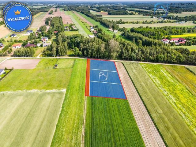 Działka, Niemce, 3653.00 m², sprzedam działkę