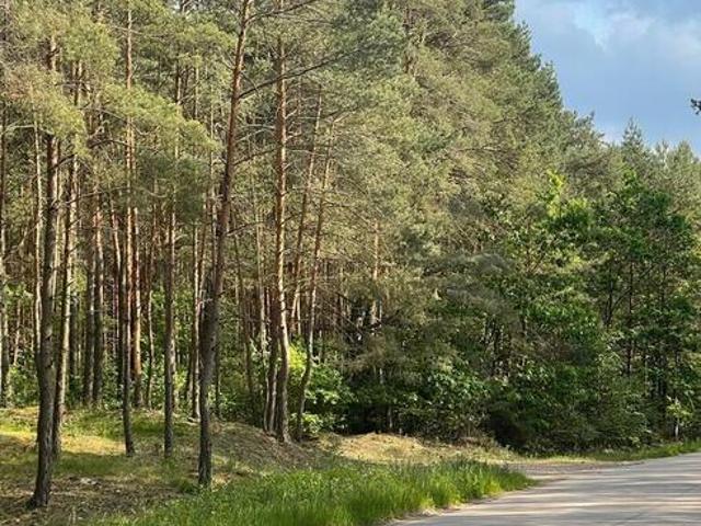 Działka o pow.6883 m² w zielonej okolicy