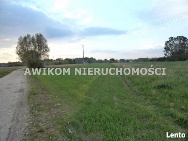 Działka Żabia Wola Jastrzębnik