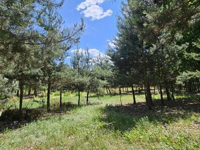 Działka bud.  2900 M2  Łukawska Wola  WZ  ZADRZEWIONA