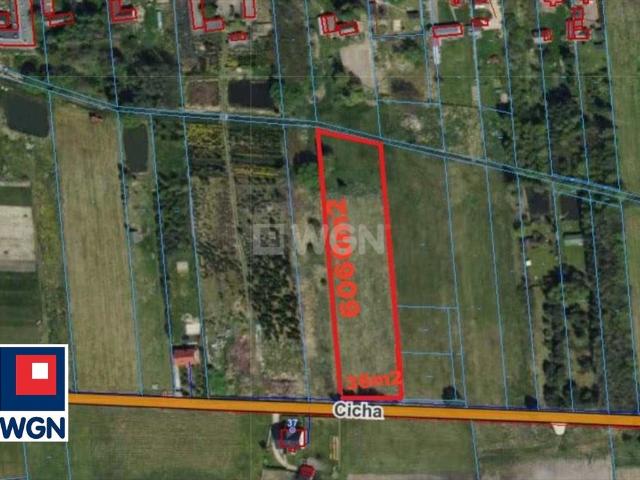Działka 6060 m² z mediami, spokój i potencjał rozwoju