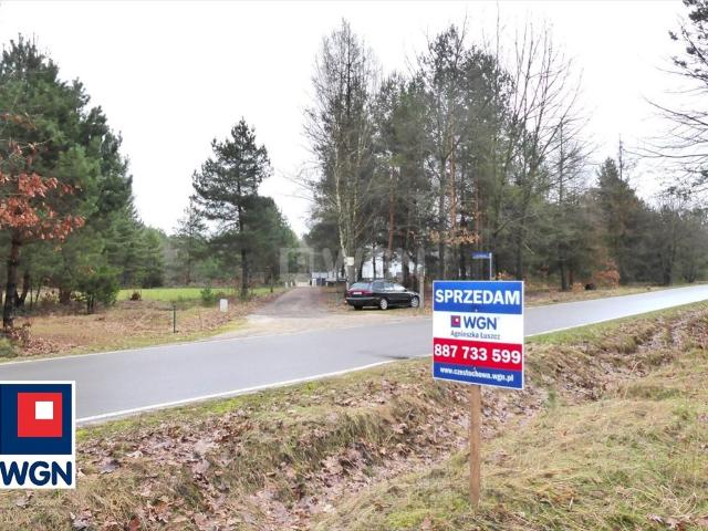 Działka bud. rolna 9 870 m² z mediami, las, blisko Olsztyna