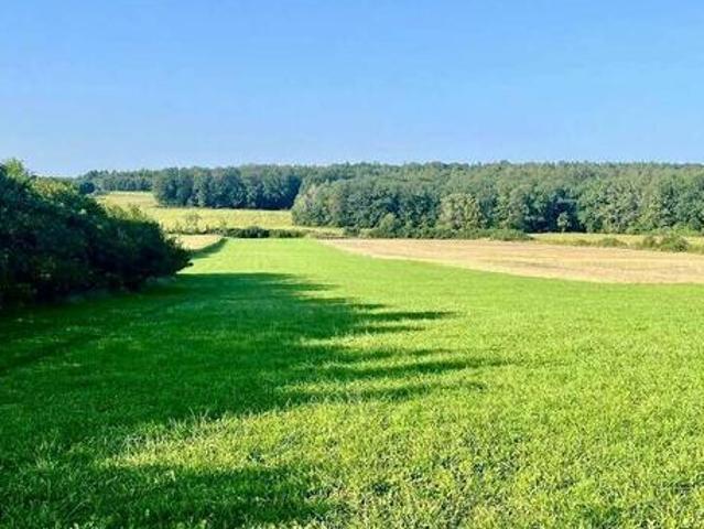 Działka budowlan 2640 m² – las, spokój, prywatność