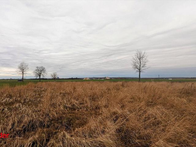 Działka budowlana 4300 m² z mediami w Kunicach