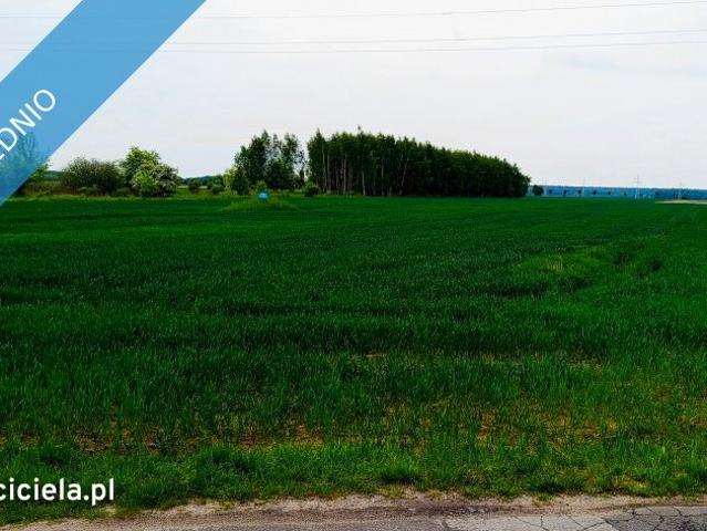 Działka budowlana 5025 m² z dostępem do drogi, Rzgów