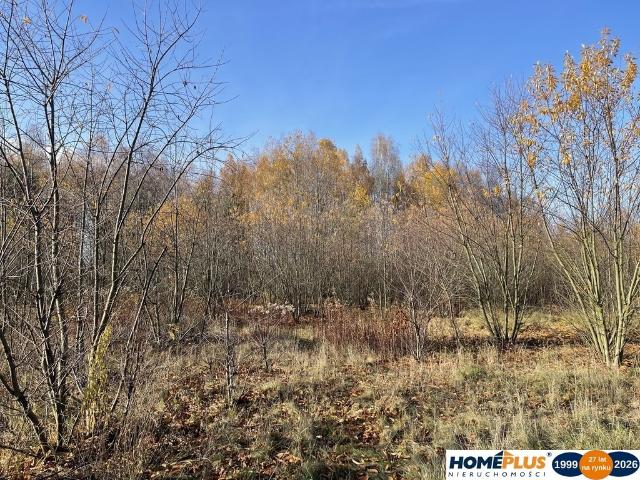 Działka budowlana 5428 m² w spokojnej okolicy z mediami