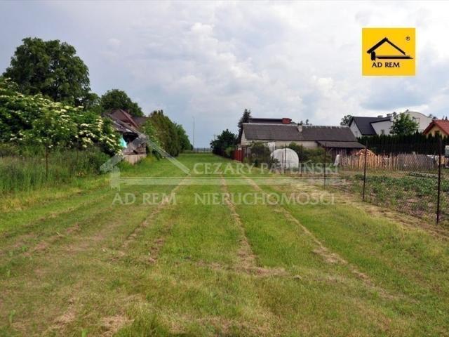 Działka budowlana 6886 m² z uzbrojeniem i drzewami owocowymi