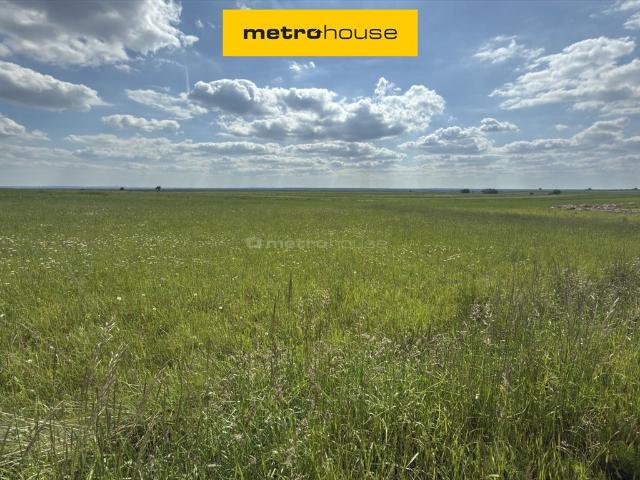 Działka budowlana 800 m² z widokiem na pola – idealna pod dom