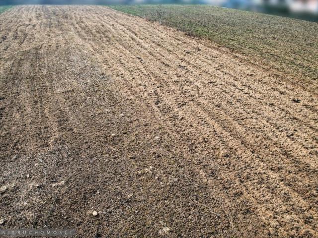 Działka budowlana 805 m2 w Prądniku Białym, bez prowizji