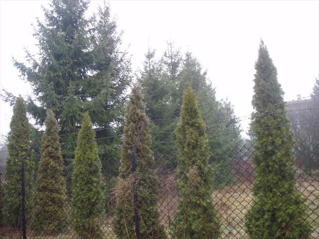 Działka budowlana 870 m² w centrum Tłuszcza, ogrodzona