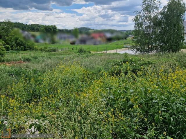 Działka budowlana 881 m² w Masłomiący – spokojna okolica