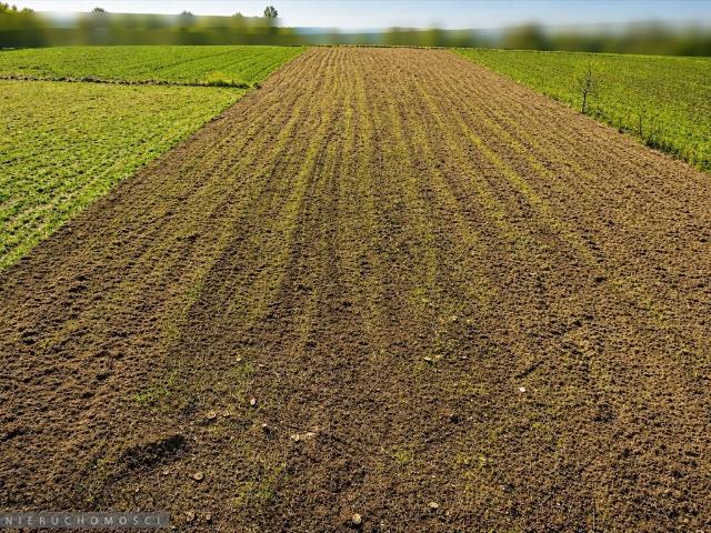 Działka budowlana 8,06 ara z dostępem do mediów, spokojna okolica