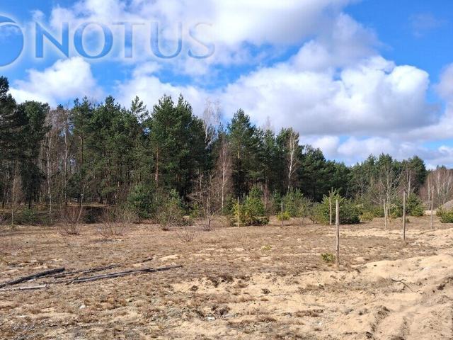 Działka budowlana 918 m² z WZ, media, blisko miasta