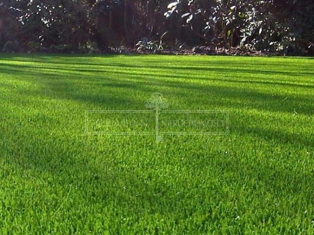 Działka budowlana 1000 m² w Niemczu – kształt kwadratu, MPZP