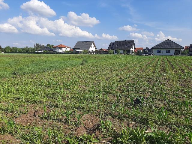 Działka budowlana 1000 m² w spokojnej okolicy