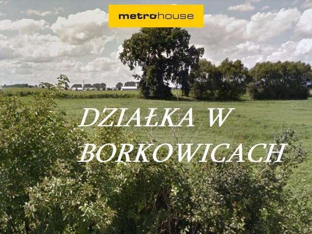 Działka budowlana 1002 m² w Borkowicach – cisza i potencjał