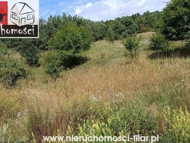 Działka 1034 m² z mediami i wielopokoleniową zabudową