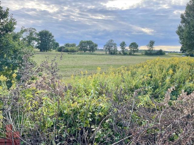 Działka budowlana 1036 m² w Wołowicach z mediami i dojazdem