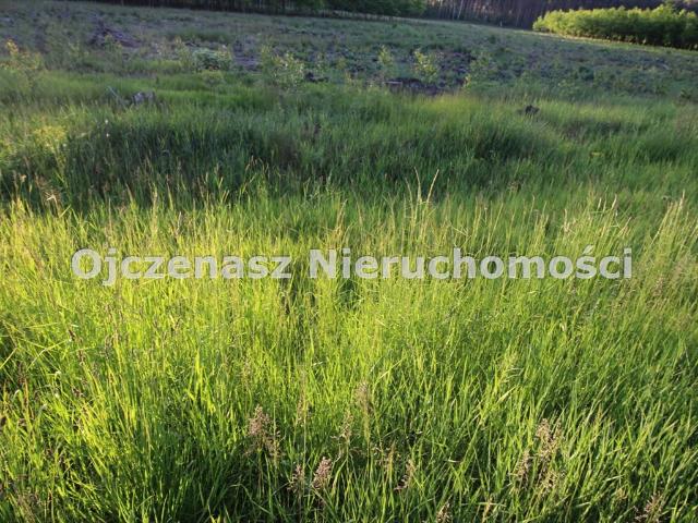 Działka budowlana 1079 m2 pod dom w Zamościu, las, media