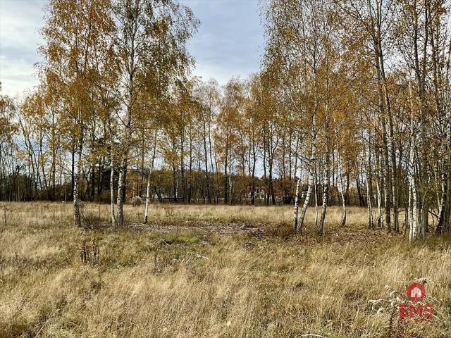 Działka budowlana 1070 m² z warunkami zabudowy