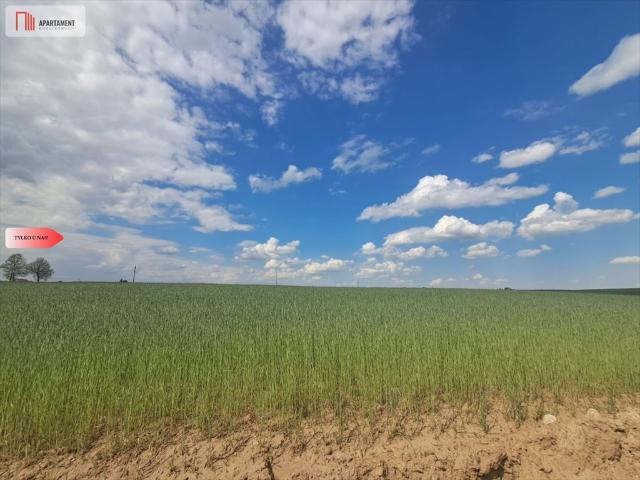 Działka budowlana 1108 m² z mediami woda, prąd w Pinczynie