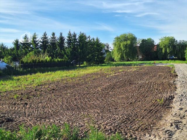Działka budowlana 1110 m² z warunkami zabudowy w Ostaszewie