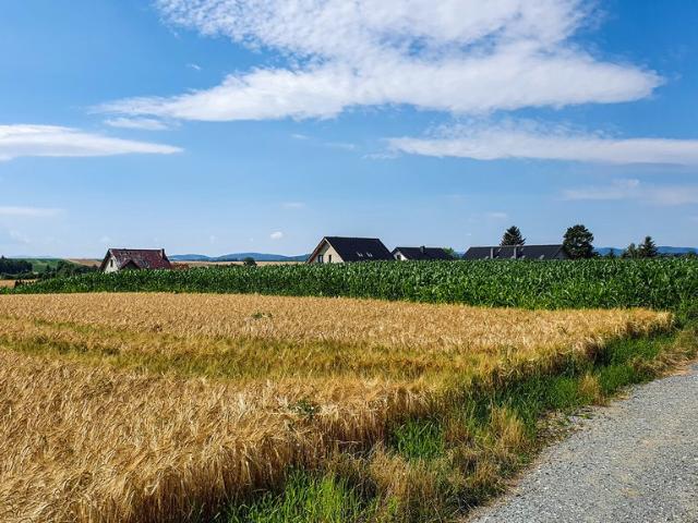 Działka budowlana 1140 m² w Łagiewnikach – spokojna okolica