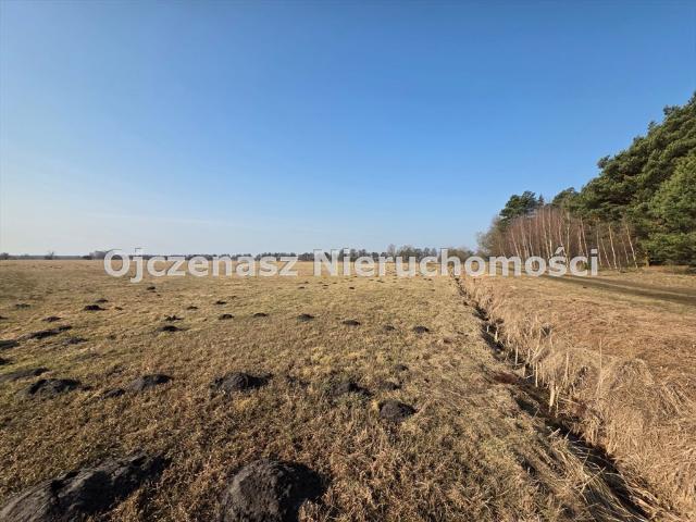 Działka budowlana 1176 m² z warunkami zabudowy