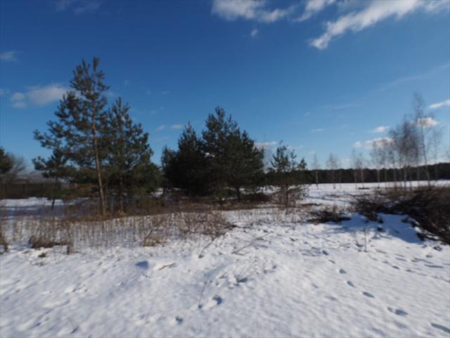 Działka 1200 m² z warunkami zabudowy, blisko natury