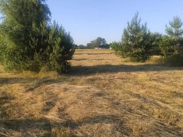 Działka budowlana 1230 m² w Nowej Małej Wsi polecam