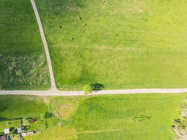 Działka 1286 m² z WZ pod dom w Zaskale – spokojna okolica