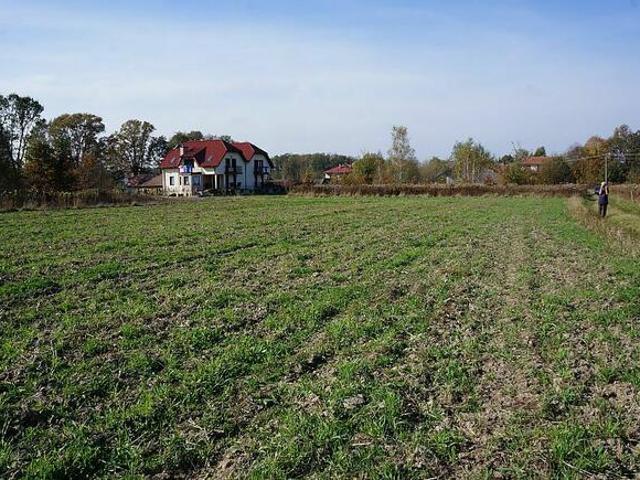 Działka budowlana 12,5 ar w Woli Rzędzińskiej
