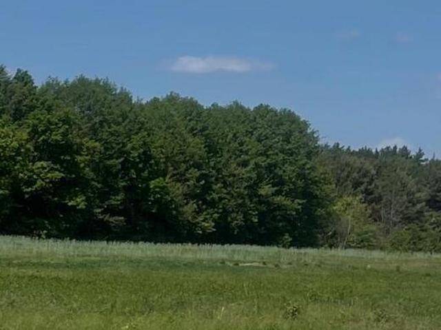Działka budowlana 1300 m2 z mediami, las, cisza