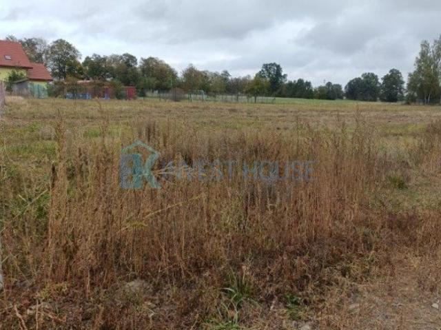Działka budowlana 1300 m2 z prądem i blisko drogi