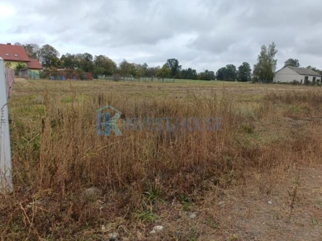 Działka budowlana 1300 m² z prądem i blisko drogi asfaltowej