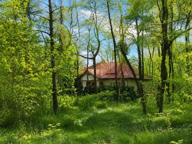 Działka budowlana 1380 m² z lasem i szybkim dojazdem