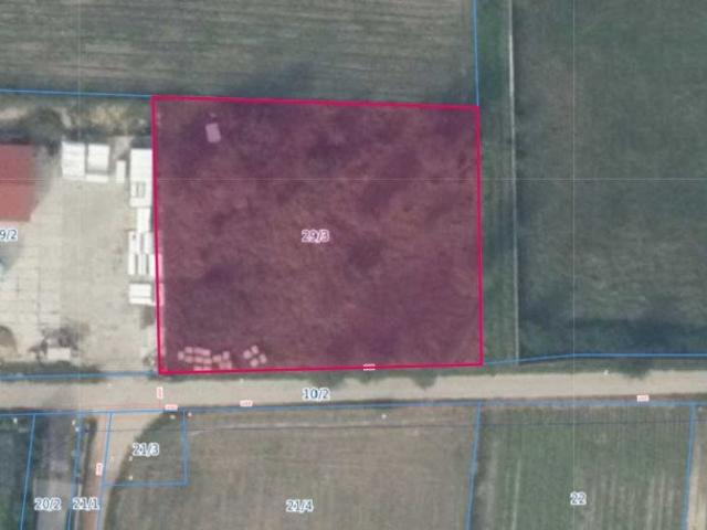 Działka budowlana 1604 m² w Łężycach, doświetlona i płaska